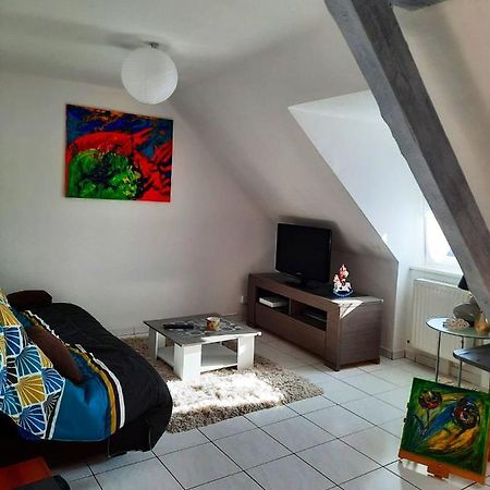 Appartement Spacieux A Ingersheim Avec Vue Sur Jardin 100 M² Kültér fotó