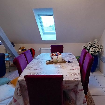 Appartement Spacieux A Ingersheim Avec Vue Sur Jardin 100 M² Kültér fotó