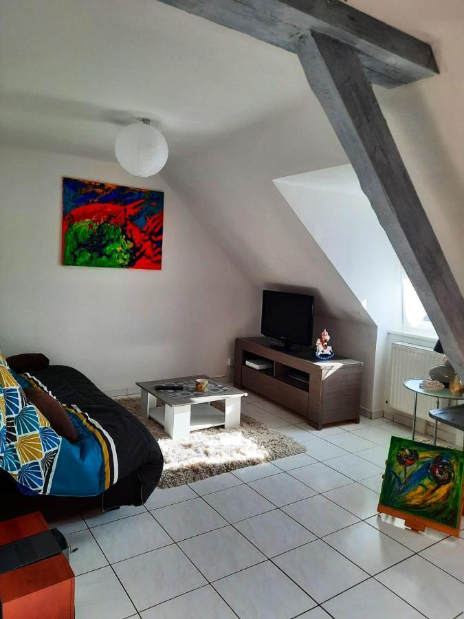 Appartement Spacieux A Ingersheim Avec Vue Sur Jardin 100 M² Kültér fotó