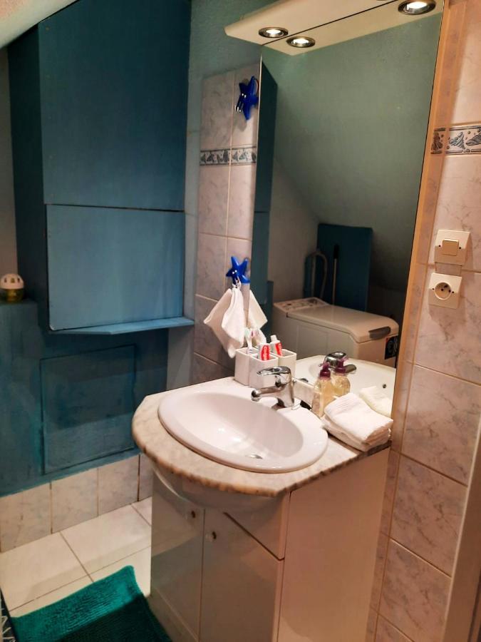 Appartement Spacieux A Ingersheim Avec Vue Sur Jardin 100 M² Kültér fotó