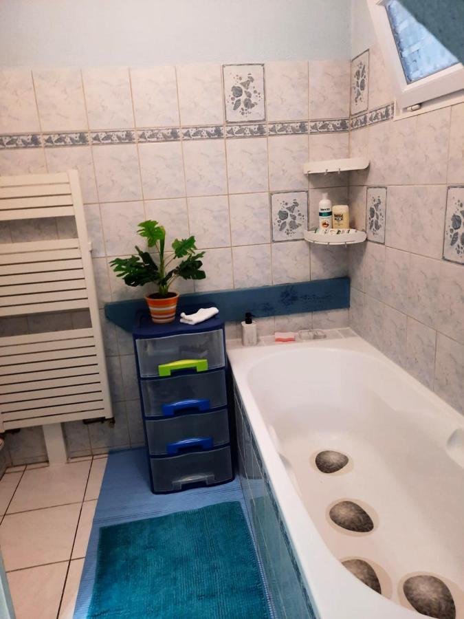 Appartement Spacieux A Ingersheim Avec Vue Sur Jardin 100 M² Kültér fotó