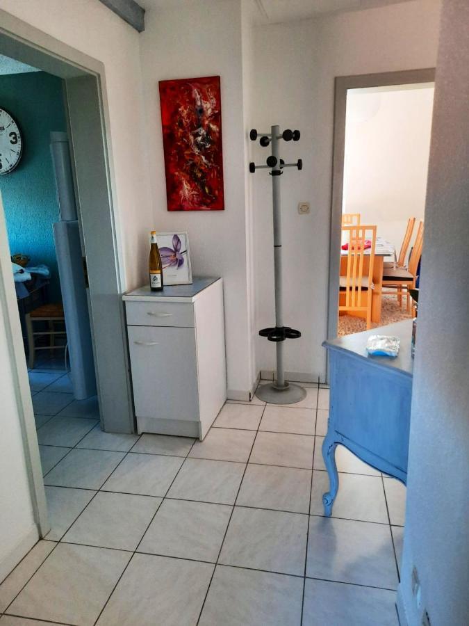 Appartement Spacieux A Ingersheim Avec Vue Sur Jardin 100 M² Kültér fotó